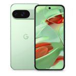 Google Pixel 9 12/128Gb Wintergreen